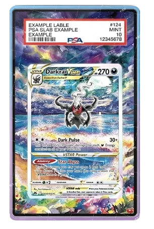 PSA Graded Extended Art Acrylic Display Cases