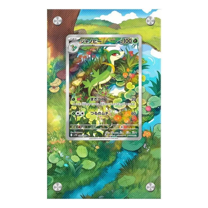 Acrylic Extended Art Frames