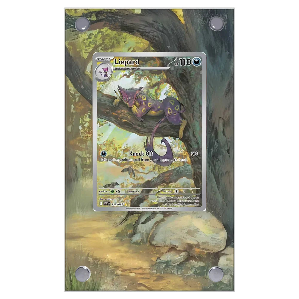 Acrylic Extended Art Frames