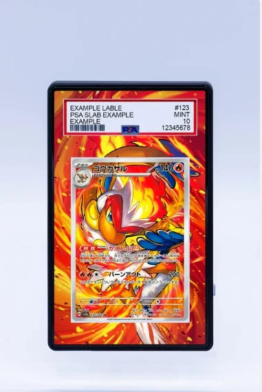 PSA Graded Extended Art Acrylic Display Cases