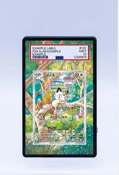 PSA Graded Extended Art Acrylic Display Cases