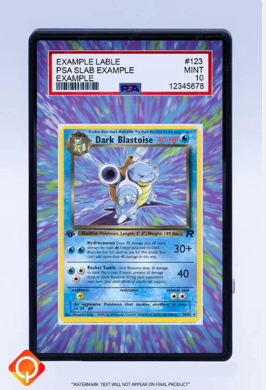 PSA Graded Extended Art Acrylic Display Cases