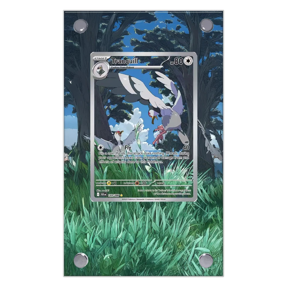 Acrylic Extended Art Frames