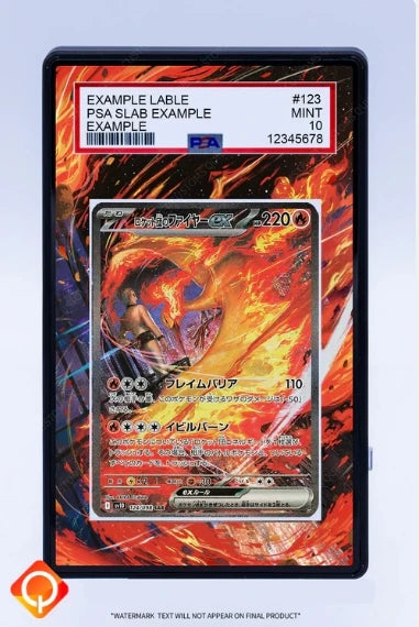 PSA Graded Extended Art Acrylic Display Cases