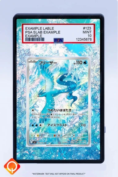 PSA Graded Extended Art Acrylic Display Cases