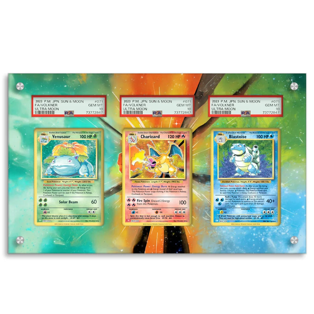 Multi-Card Extended Art Displays (Graded + Raw)