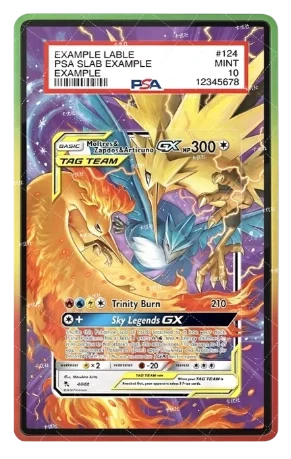 PSA Graded Extended Art Acrylic Display Cases